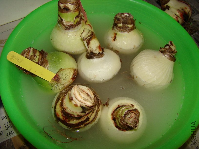2010��11��17������.jpg