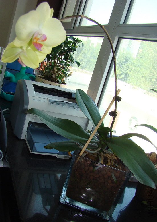 2010��8��12��.jpg
