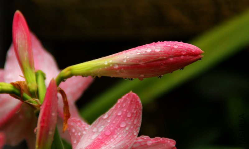 ��Ƭ2010.����.����.��ͦ���� 015+1.jpg