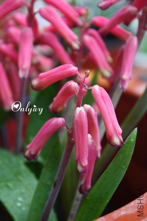 ��ת ��Ƭ 033.jpg