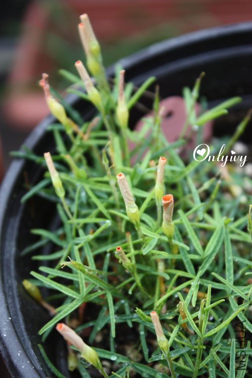 ��ת ��Ƭ 064.jpg