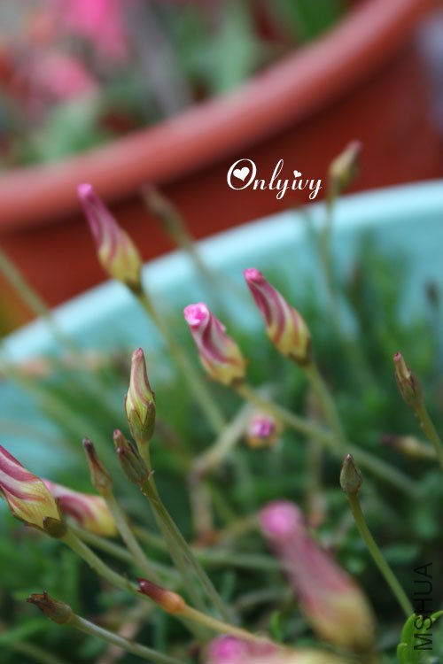 ��ת ��Ƭ 068.jpg