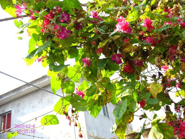 IMG_842.1.jpg