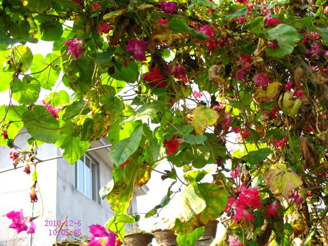 IMG_842.3.jpg