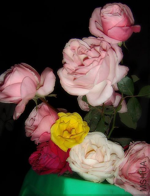 DSC04256.JPG