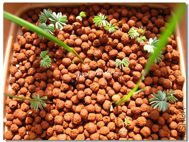 nEO-IMG-101122 026.jpg