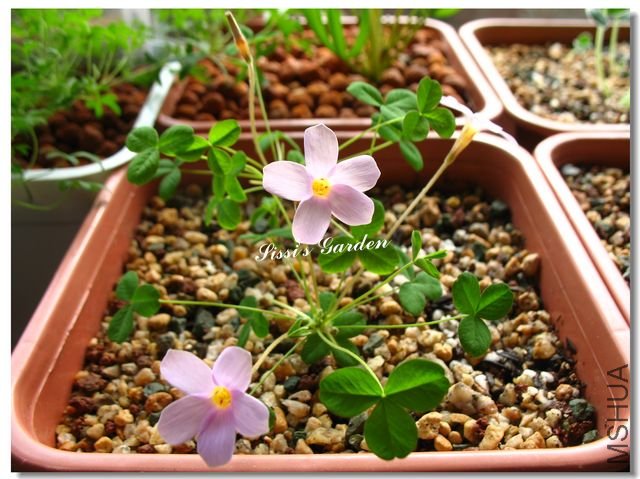 nEO-IMG-101122 057.jpg