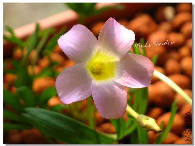 nEO_IMG_101122 003.jpg