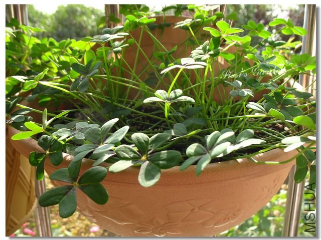 nEO_IMG_101122 024.jpg