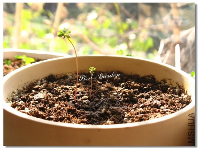 nEO_IMG_101127 024.jpg