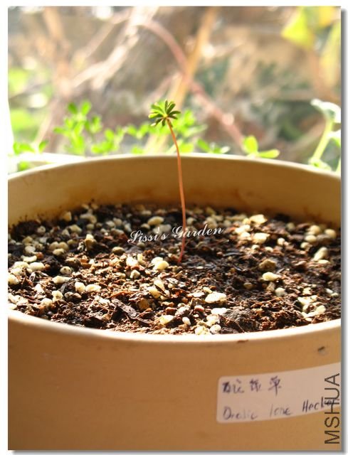 nEO_IMG_101127 023.jpg