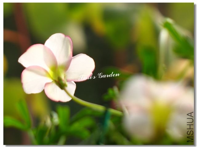 nEO_IMG_101207 002.jpg