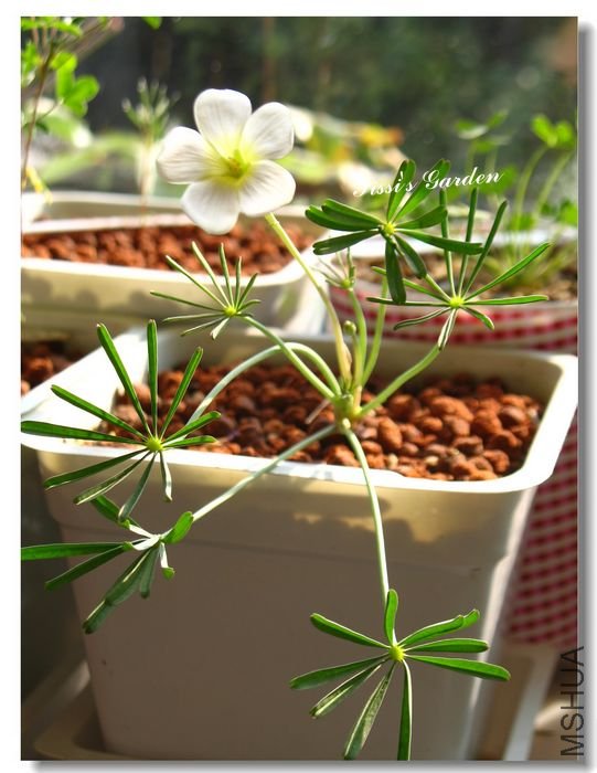 nEO_IMG_101210 011.jpg