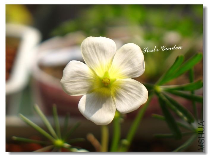 nEO_IMG_101210 013.jpg