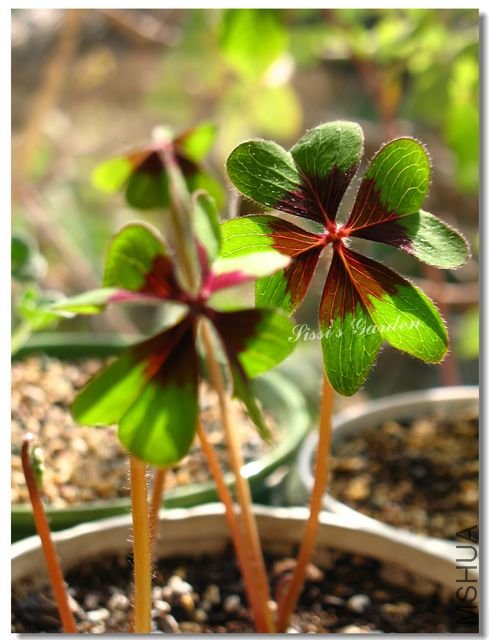 nEO-IMG-101122 040.jpg