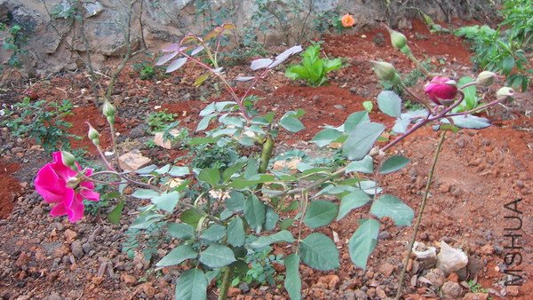 20101213 002.jpg