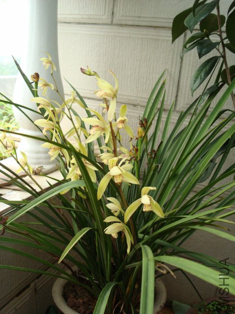 DSC00097.JPG