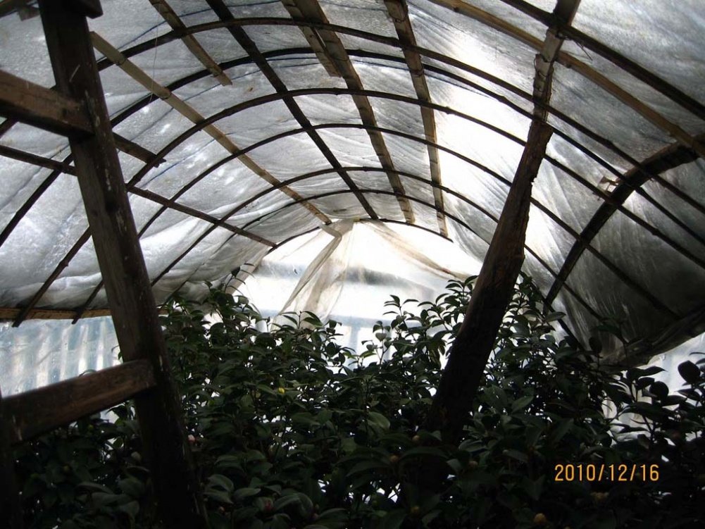 ��Ƭ10-12-16 01711.jpg