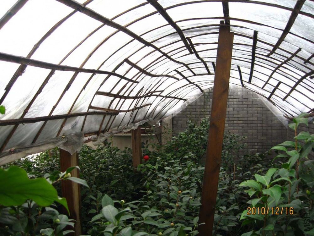 ��Ƭ10-12-16 01411.jpg