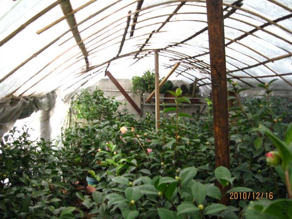 ��Ƭ10-12-16 01511.jpg