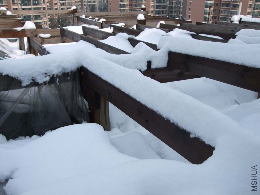 ��Ƭ10-12-16f (1).jpg