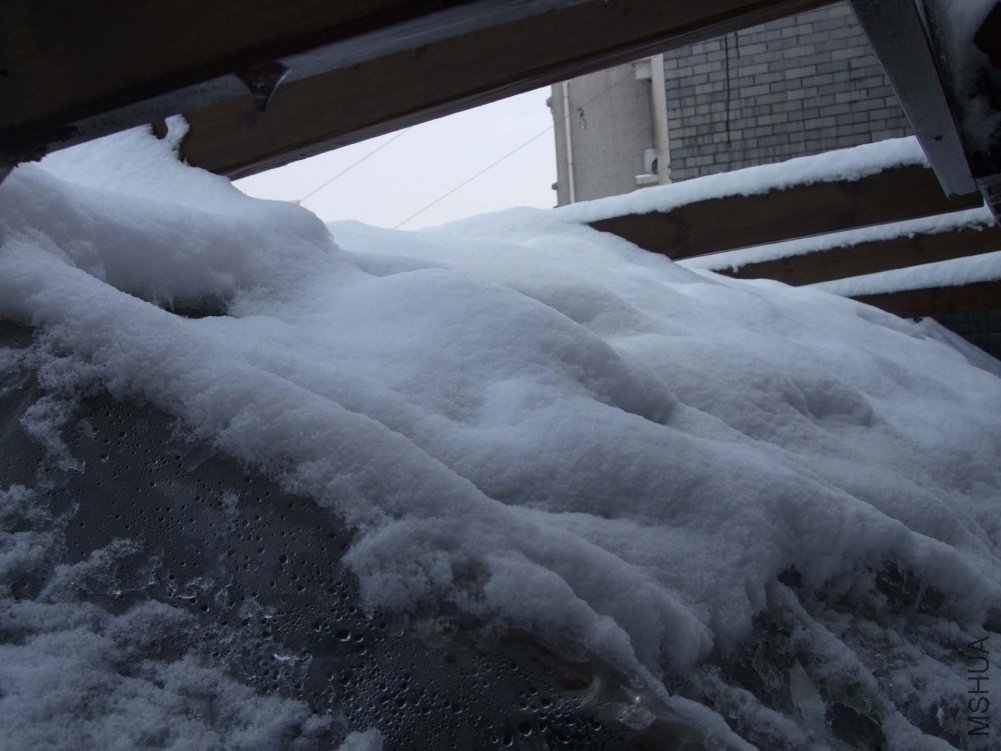 ��Ƭ10-12-16f (2).jpg