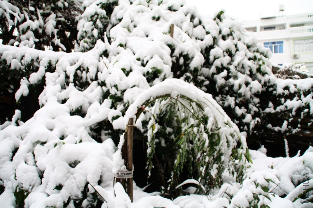 ��Ƭ��������.����.��6.��ѩ���� 063+1.jpg