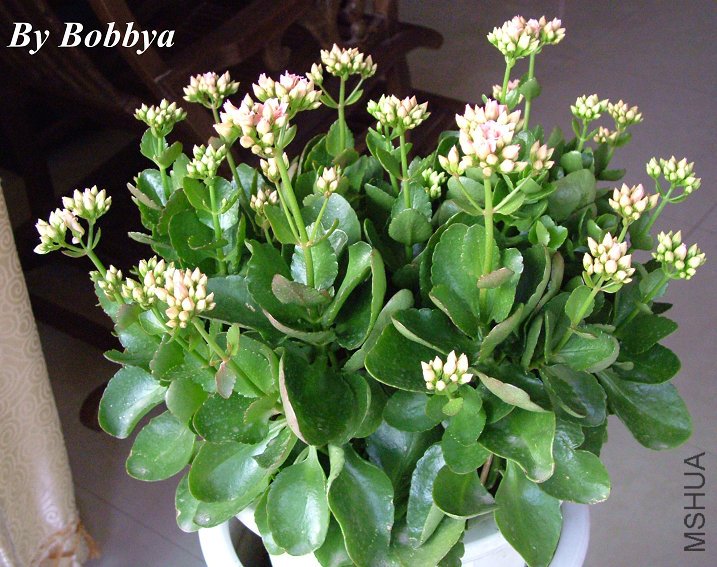 �ҵ��ҷ����