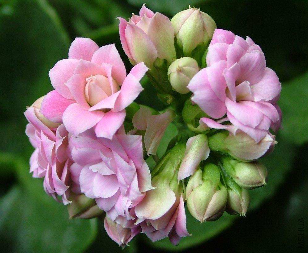 ��۷Ʒ�-��Դ-����