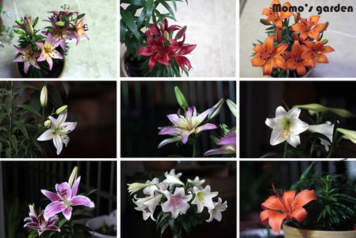 δ���� -1��ؐ.jpg