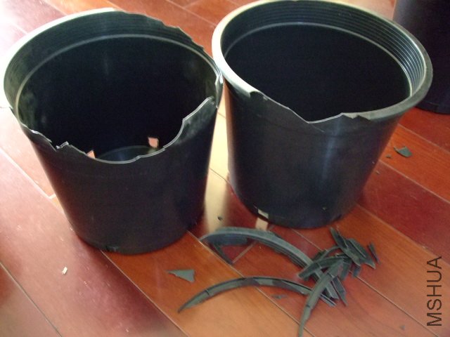DSCF0230.JPG