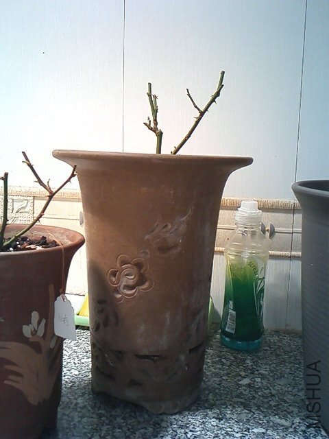IMG0091.jpg