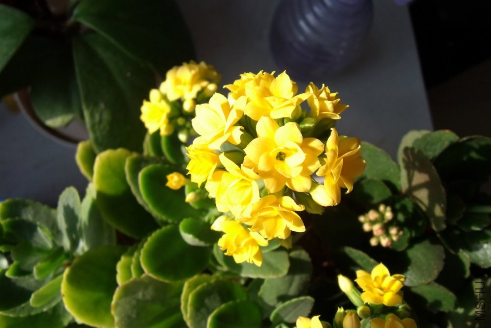 ��Ƭ 009_1200x800.jpg