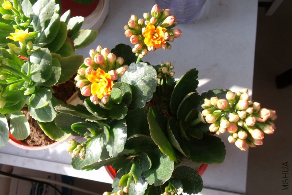 ��Ƭ 013_1200x800.jpg