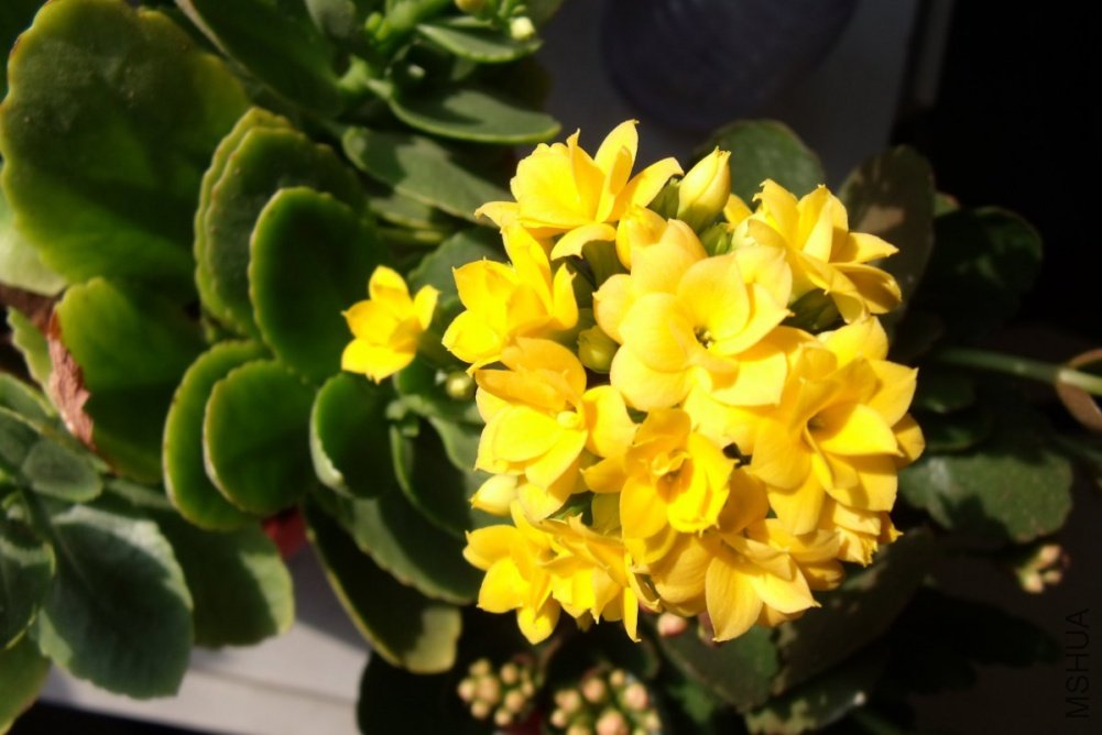 ��Ƭ 008_1200x800.jpg