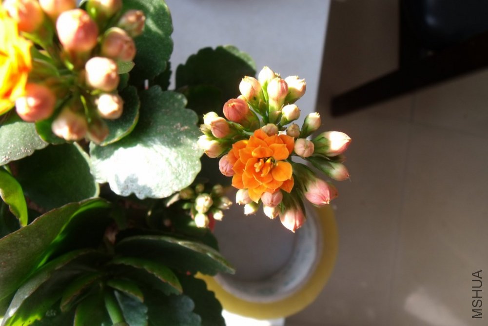 ��Ƭ 011_1200x800.jpg