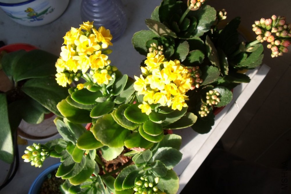 ��Ƭ 010_1200x800.jpg