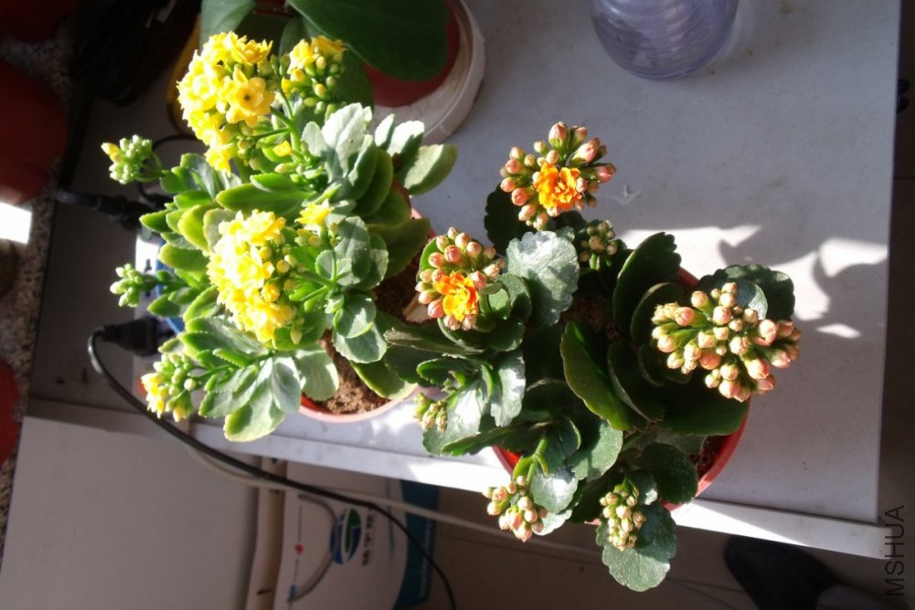 ��Ƭ 016_1200x800.jpg