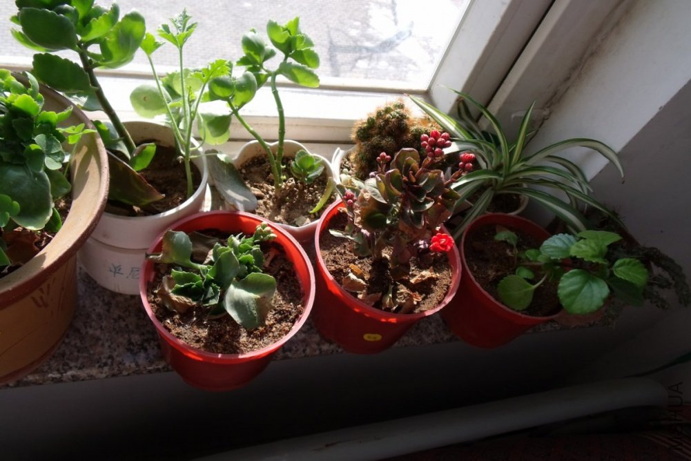 ��Ƭ 028_1200x800.jpg