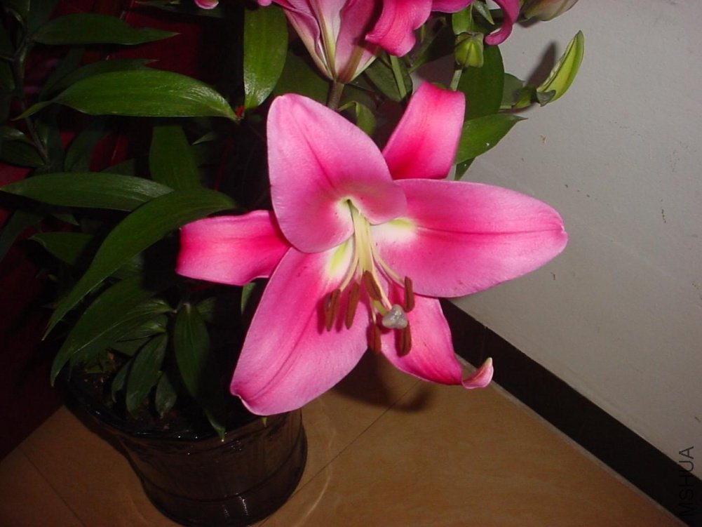 DSC01044.JPG