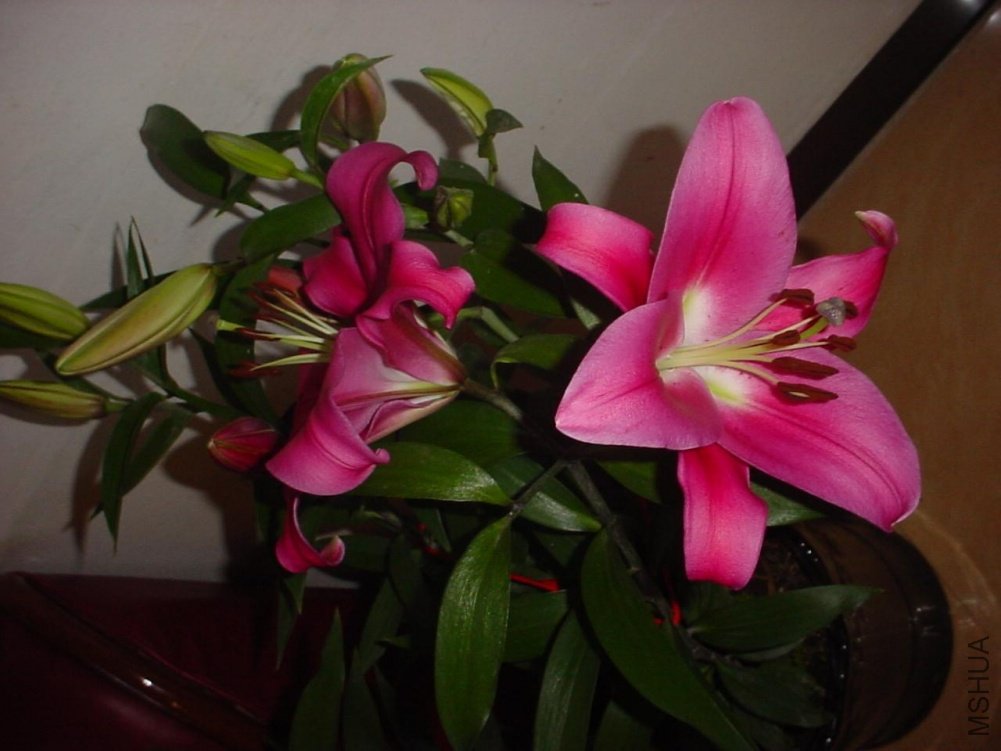 DSC01045.JPG