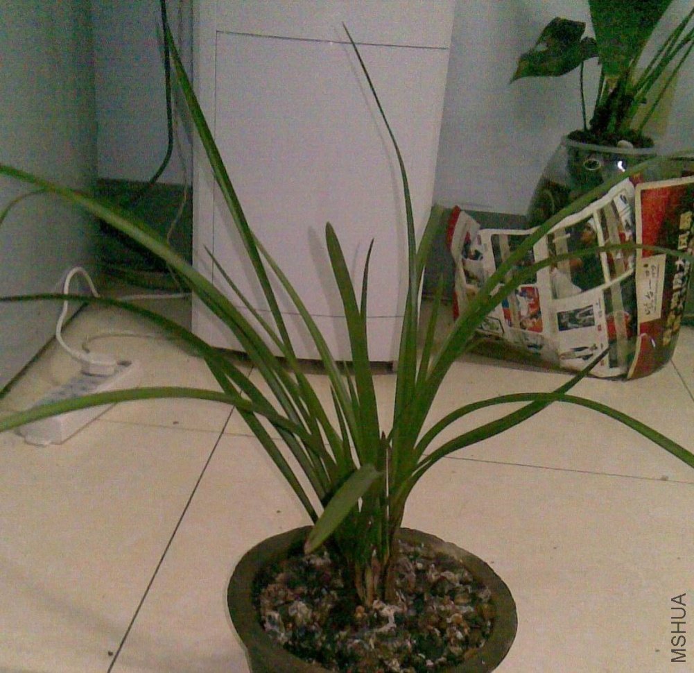 20101203(004).jpg