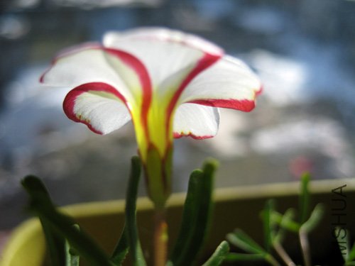 ��Ƭ 051-1.jpg