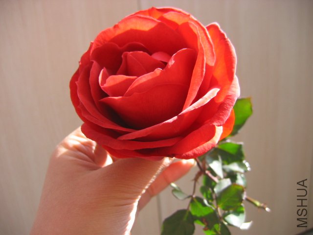 ��Ƭ 1088.jpg