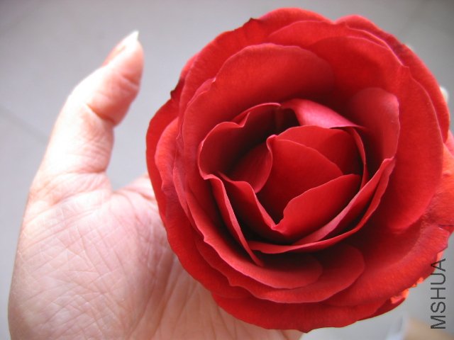��Ƭ 1083.jpg