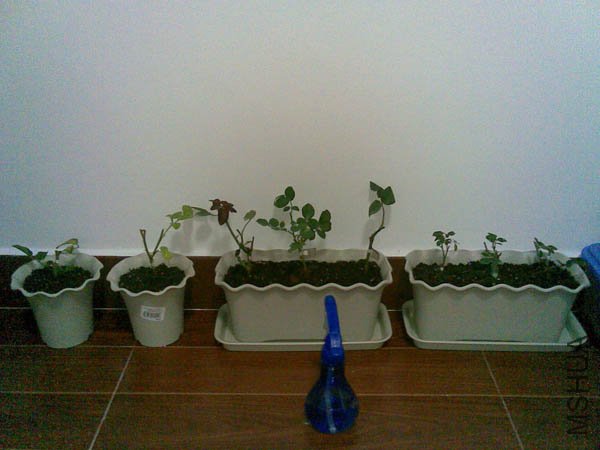 20101207(007).jpg