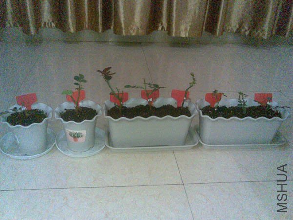 20101221.jpg