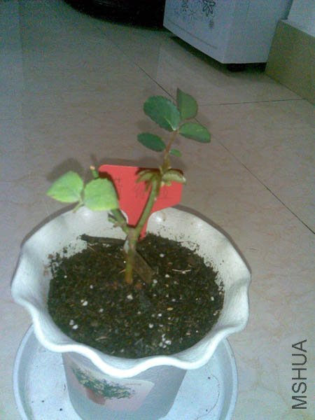 20101221(002).jpg