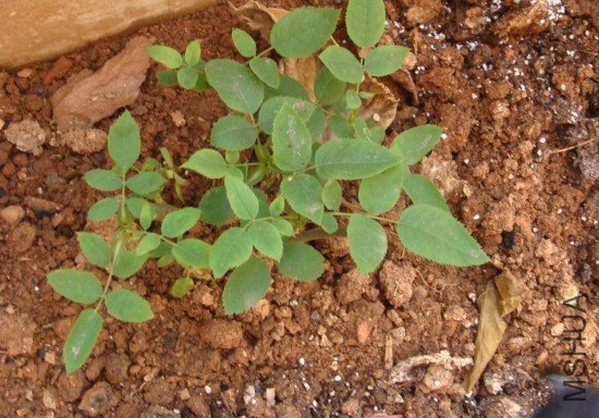 ĵ���¼�����ǧ���ģ���һ�����Ҽң��������ˣ�����