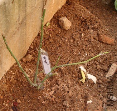 �Ҽ��Ѿ���һ���ˣ�����ͷ�����Ժ����ɣ�������˵Ӧ��֪�����ļҵİ�